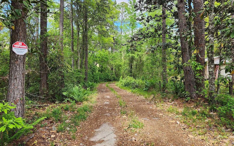 Vacant land in Northeast Florida