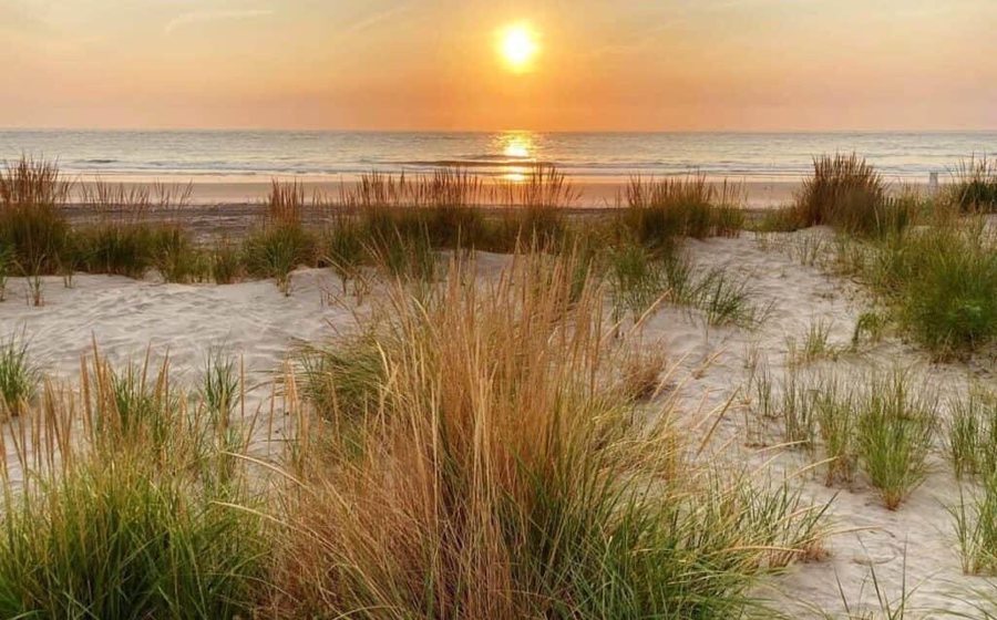 Amelia Island and Nassau County